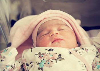 Waarom een horigen kolf de ideale oplossing is