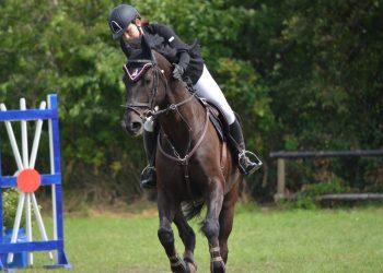 Alle mogelijkheden voor ruitersporters