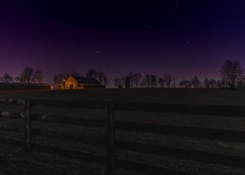 De schoonheid van een zwarte schutting