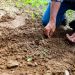 Effectief tuinonderhoud: zo doe je dat